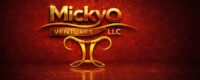 mickyoventuresllc.com